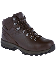 Mens Explorer Ridge Plus GTX Walking Boot - Brown